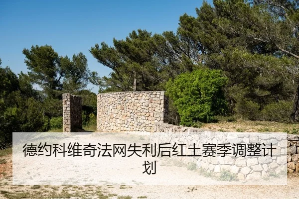 de-yue-ke-wei-qi-fa-wang-shi-li-hou-hong-tu-sai-ji-tiao-zheng-ji-hua-2-729.jpg